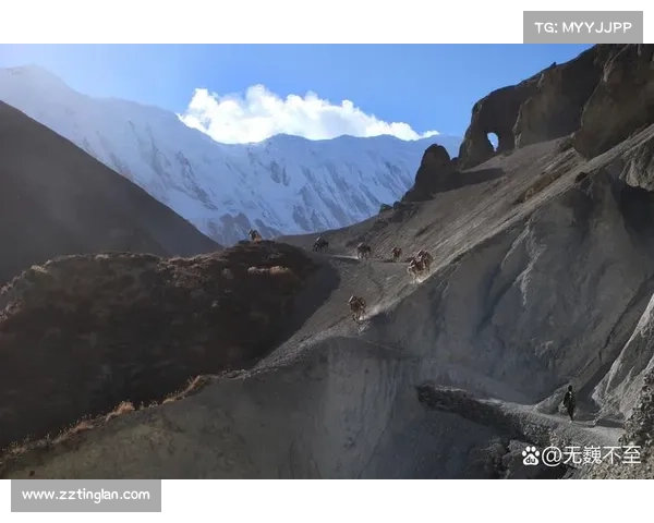 尼泊尔登山球员高原血氧数据引欧洲球队关注体能研究新趋势 尼泊尔登山球员高原血氧数据引欧洲球队关注体能研究新趋势